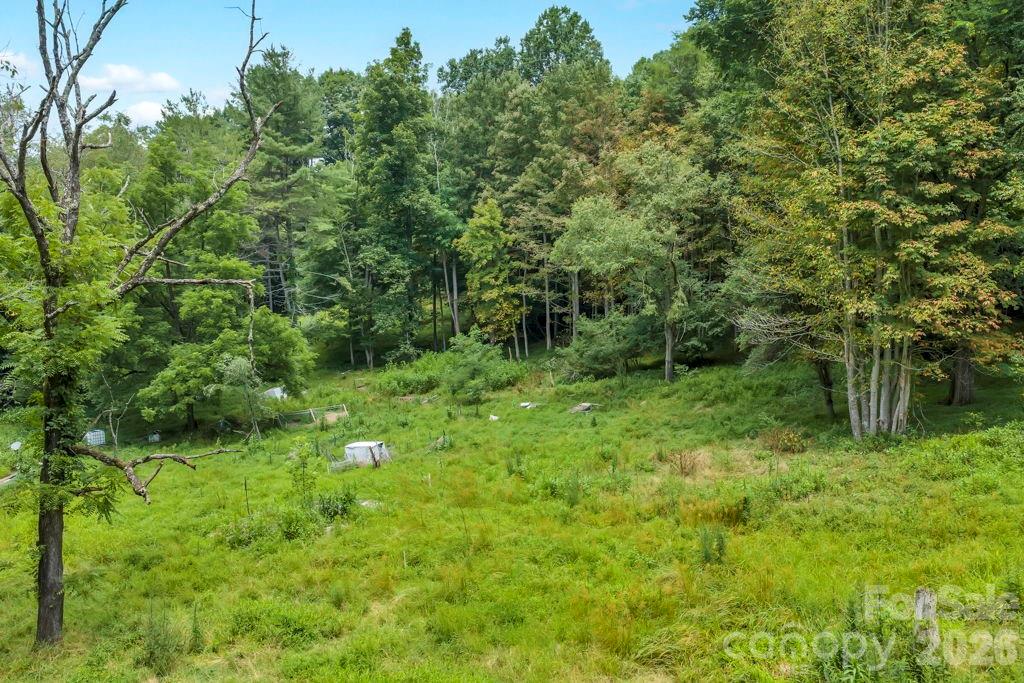 Tbd Bethel Road Sugar Grove, NC 28679 - Photo 2 of 19 Gallery Image 2