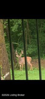 273 Ramblin Road Mount Washington, KY 40047 - Photo 68 of 72 ME591794dcbec9e81443ba1120526f17ba