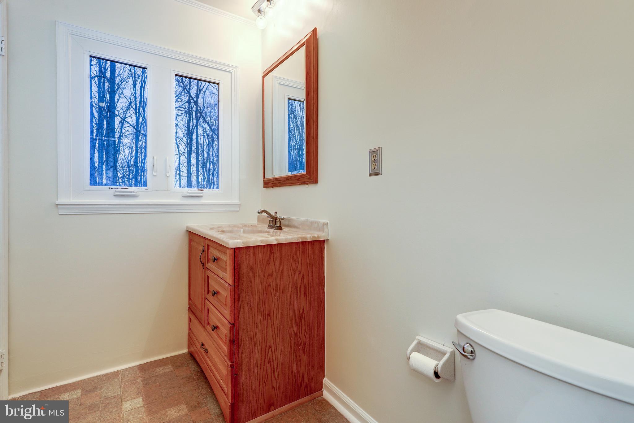 5562 Snow Mountain Road Broad Run, VA 20137 - Photo 28 of 46 Master Bathroom