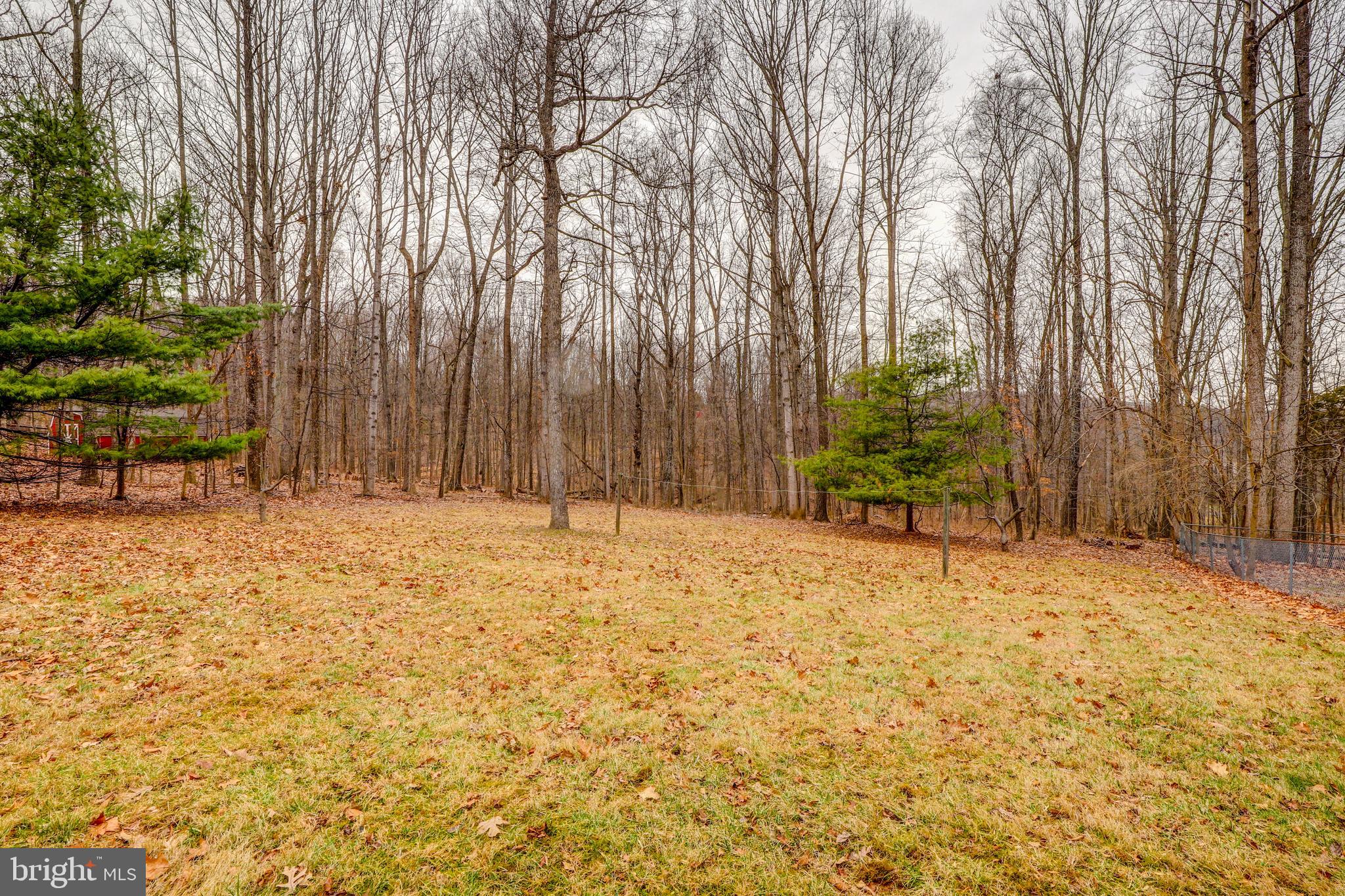 5562 Snow Mountain Road Broad Run, VA 20137 - Photo 40 of 46 Gallery Image 40