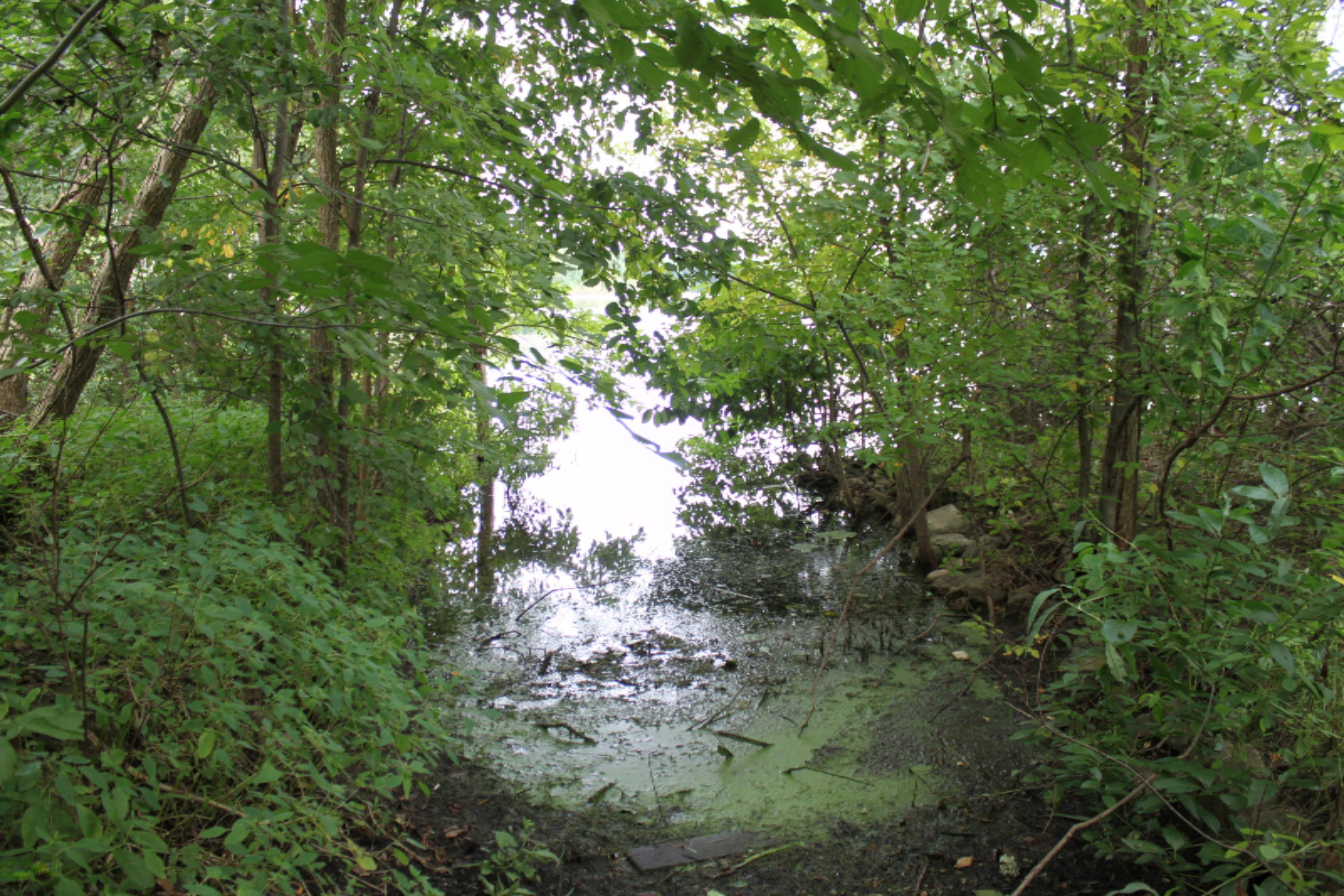 5893 Ravine Road Kalamazoo, MI 49009 - Photo 8 of 9 IMG_5989