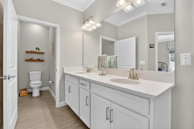 a bathroom with a sink a toilet and a large mirror