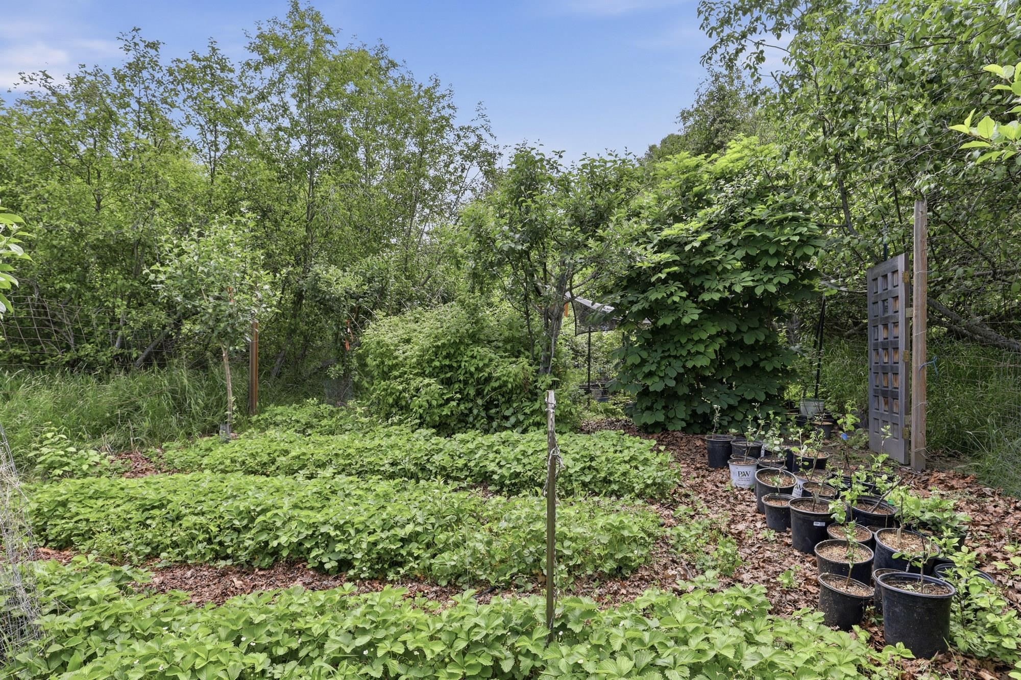 6414 East Chattaroy Road Chattaroy, WA 99003 - Photo 43 of 50 Gallery Image 43