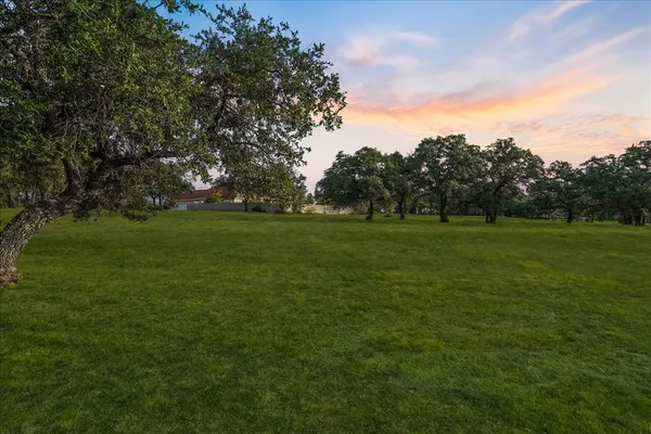 a view of a grassy field with trees