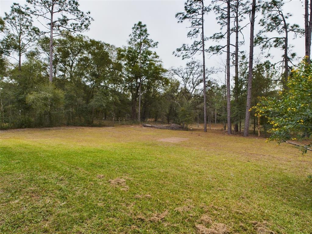 10102 Southwest 188th Circle Dunnellon, FL 34432 - Photo 17 of 17 a view of outdoor space and yard