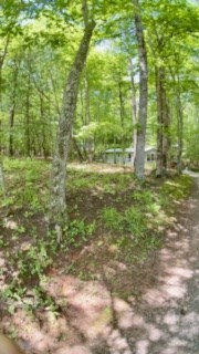 19 My Own Road Blairsville, GA 30512 - Photo 16 of 16 a view of a big yard with lots of bushes