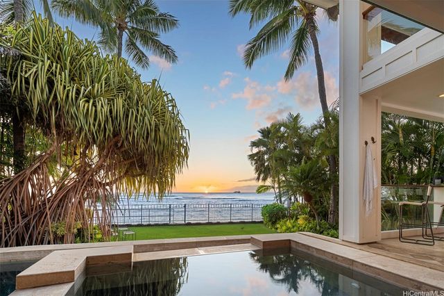 a view of a yard with plants and trees
