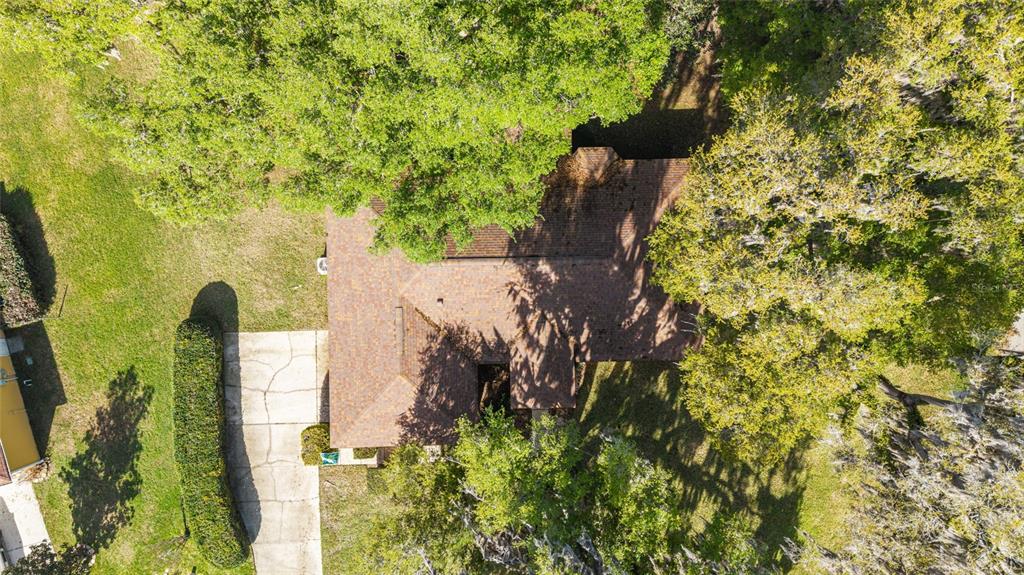10090 Southwest 78th Court Ocala, FL 34476 - Photo 47 of 52 a backyard of a house with lots of green space