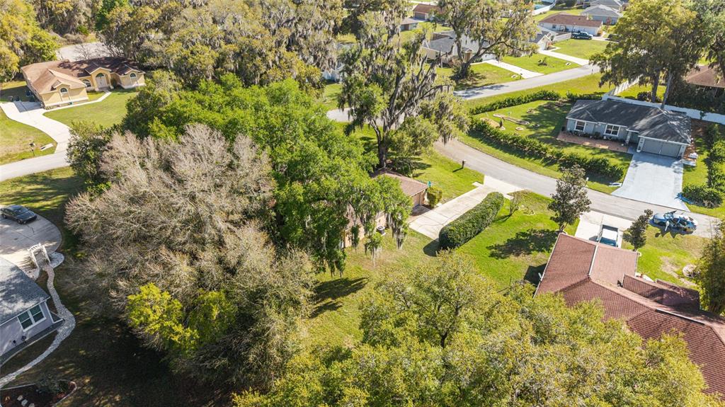 10090 Southwest 78th Court Ocala, FL 34476 - Photo 49 of 52 a view of a yard with plants and large trees
