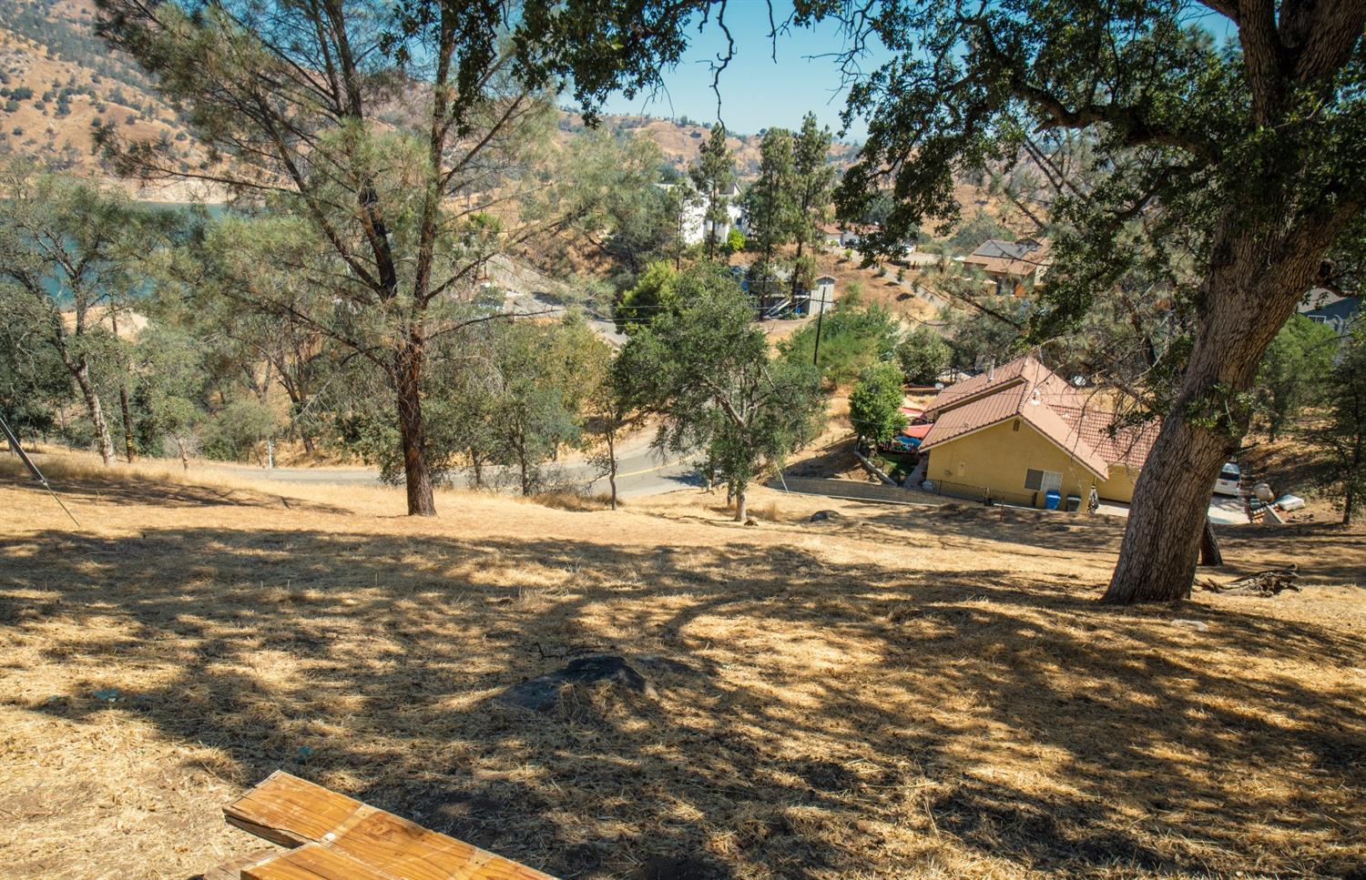a view of a yard with a tree