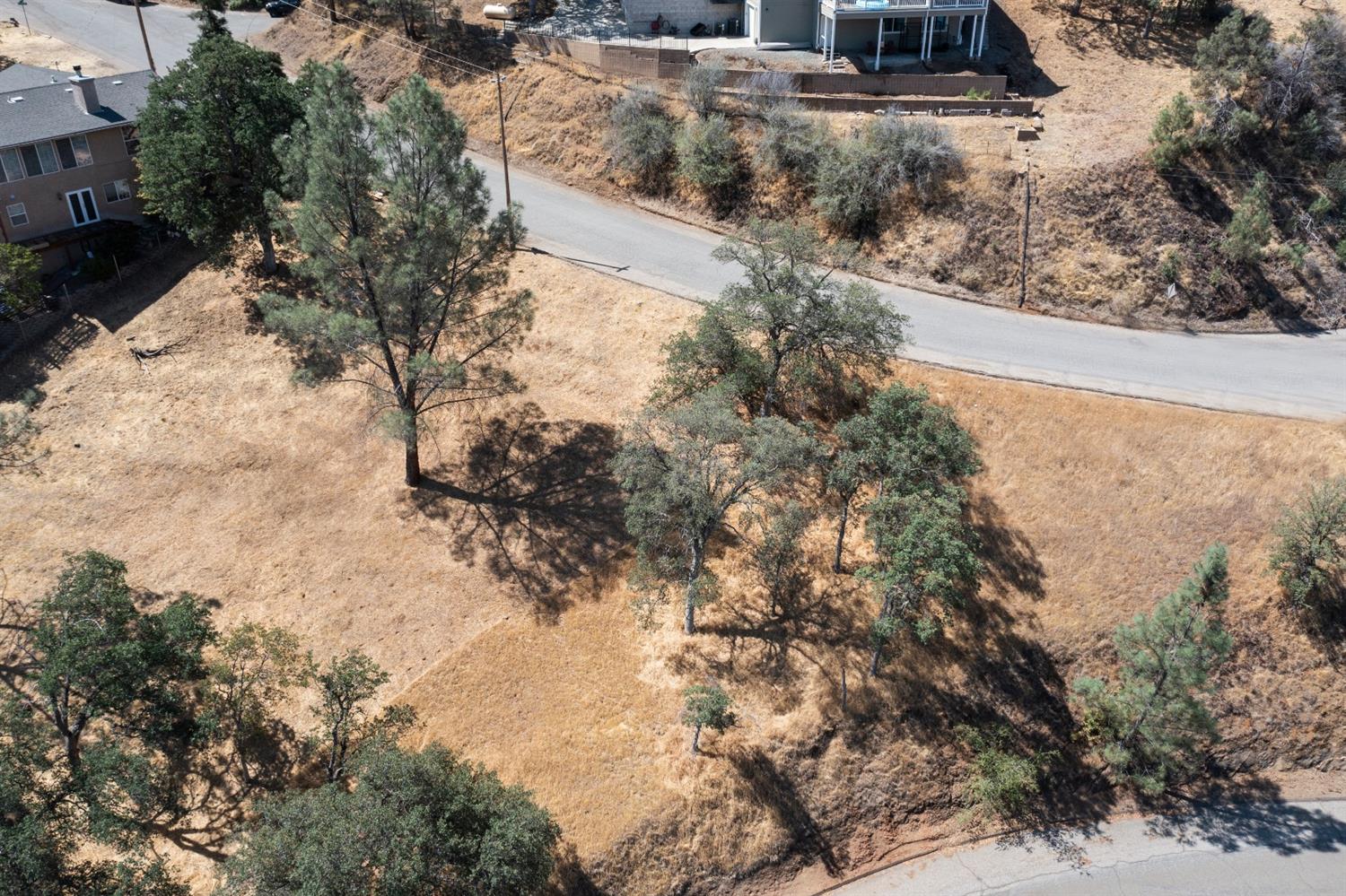 28486 Perkins Road Friant, CA 93626 - Photo 6 of 6 a view of a yard with trees