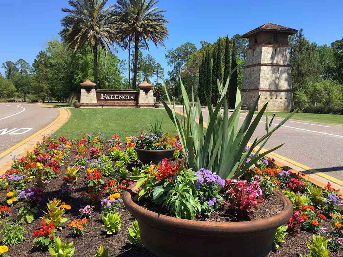 a view of a potted flower in a garden with a fountain