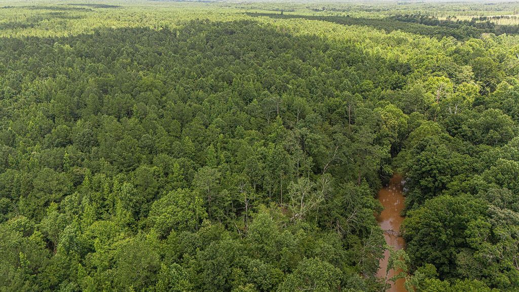 Tbd Burton Drive Edgefield, SC 29824 - Photo 1 of 10 BurtonDr_10
