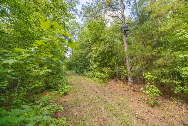 $425,000 | Tbd Burton Drive, Edgefield, SC 29824