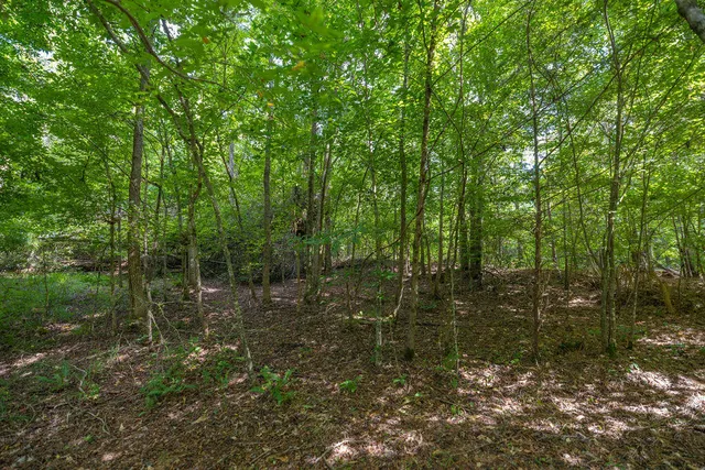 $425,000 | Tbd Burton Drive, Edgefield, SC 29824