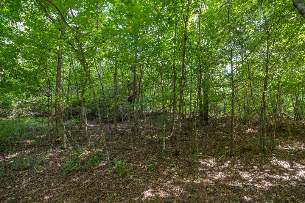 Tbd Burton Drive Edgefield, SC 29824 - Photo 5 of 10 BurtonDrive_7