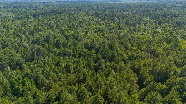 $425,000 | Tbd Burton Drive, Edgefield, SC 29824