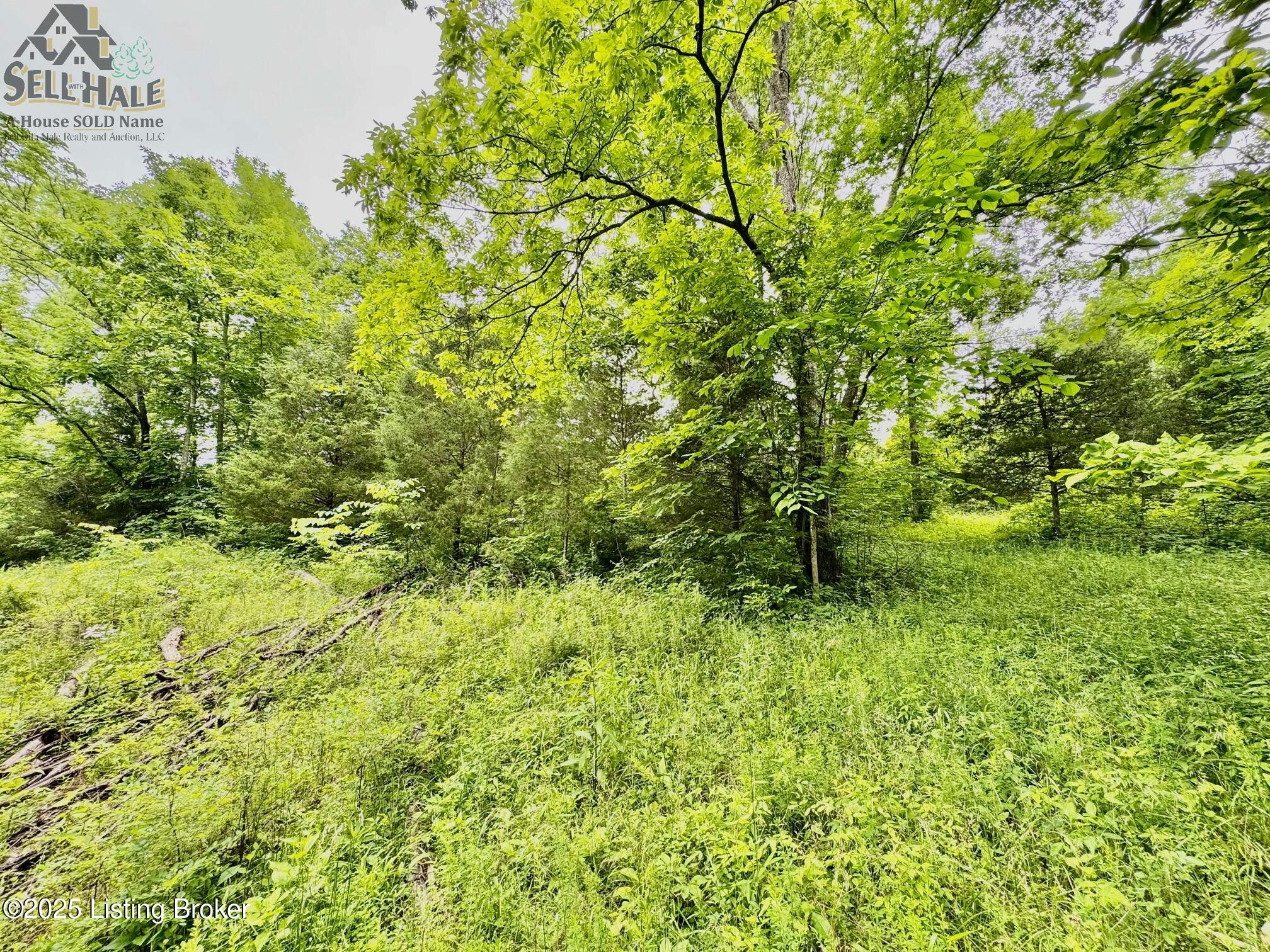 Tr3 Polin Road Willisburg, KY 40078 - Photo 7 of 14 IMG_2875