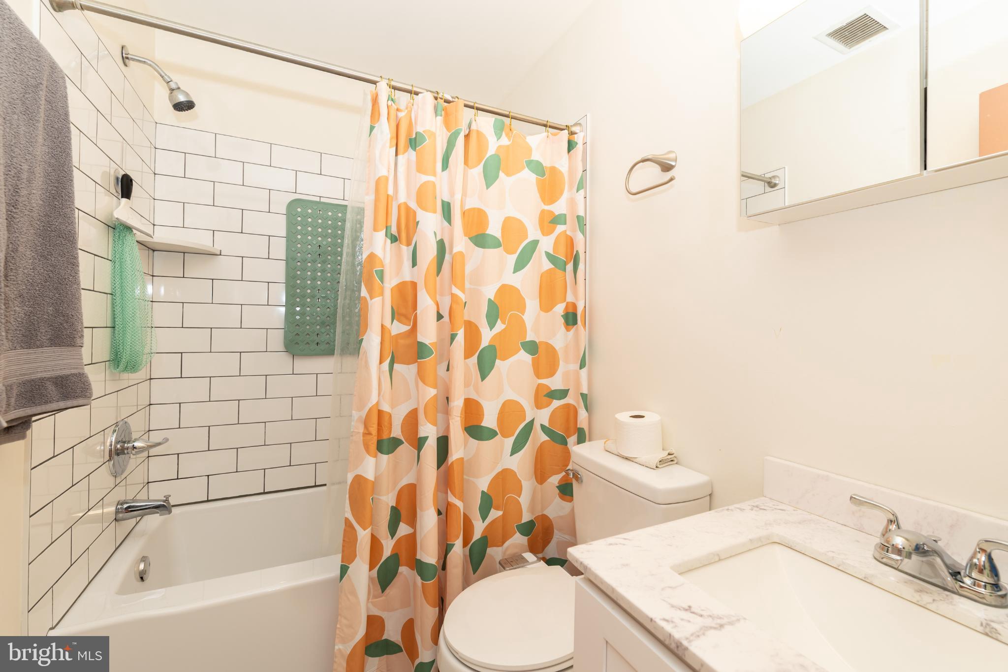 910 Mountain Street Philadelphia, PA 19148 - Photo 15 of 31 a bathroom with a sink toilet and shower