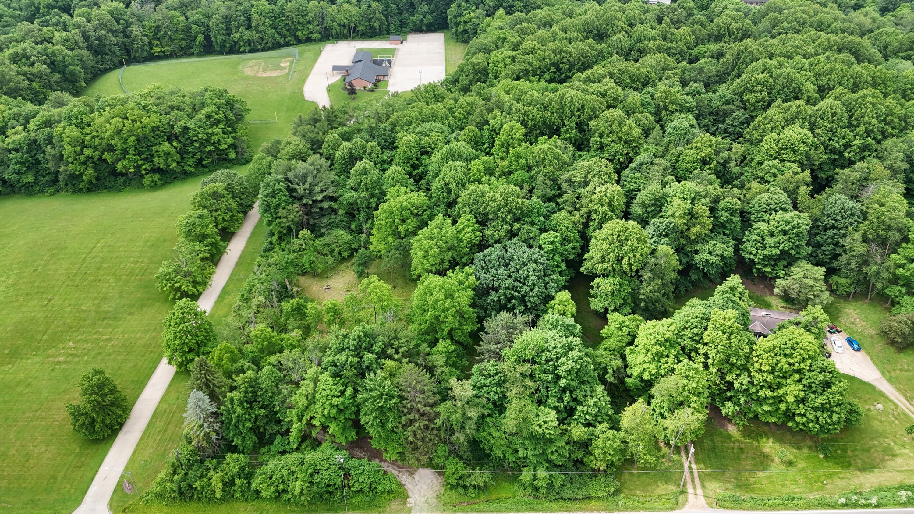325 West Hanley Road Mansfield, OH 44903 - Photo 8 of 8
