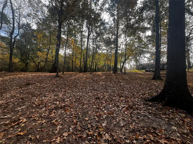 $23,000 | 11 Clearwater Circle, Coldspring, TX 77331