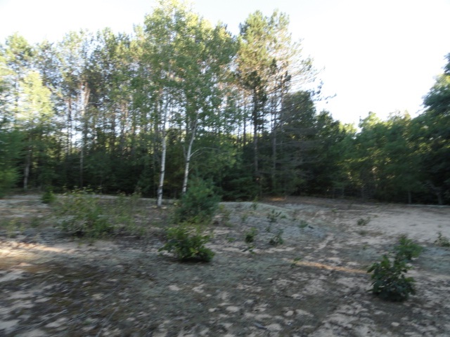 5670 Powers Road Alanson, MI 49706 - Photo 7 of 38 1852708-6.JPG