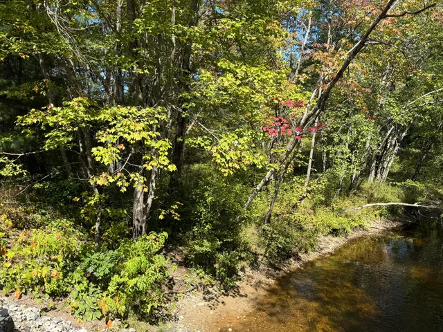 $65,000 | Tbd Portland Lane, Brownfield, ME 04010