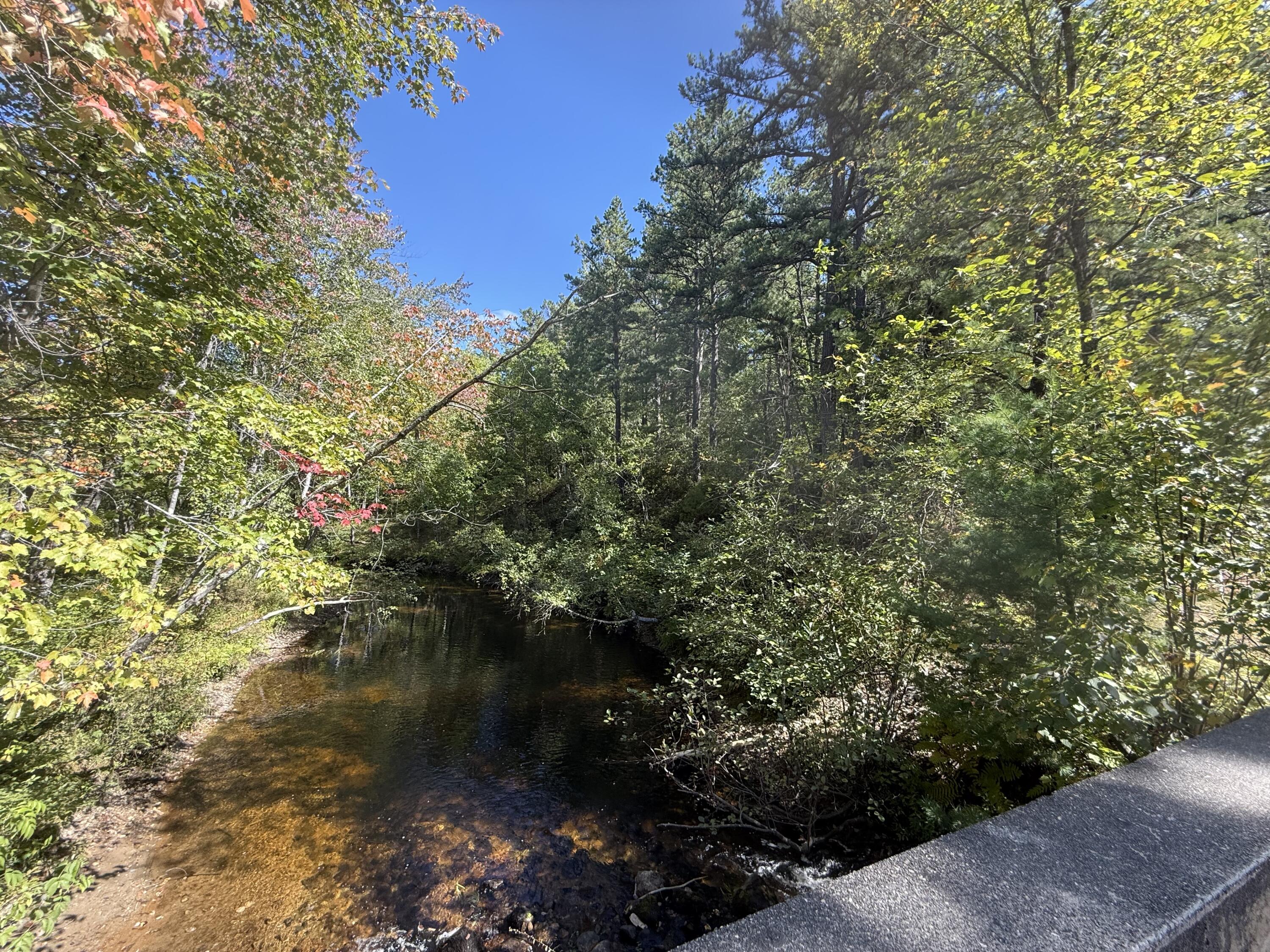 Tbd Portland Lane Brownfield, ME 04010 - Photo 5 of 8 IMG_9756