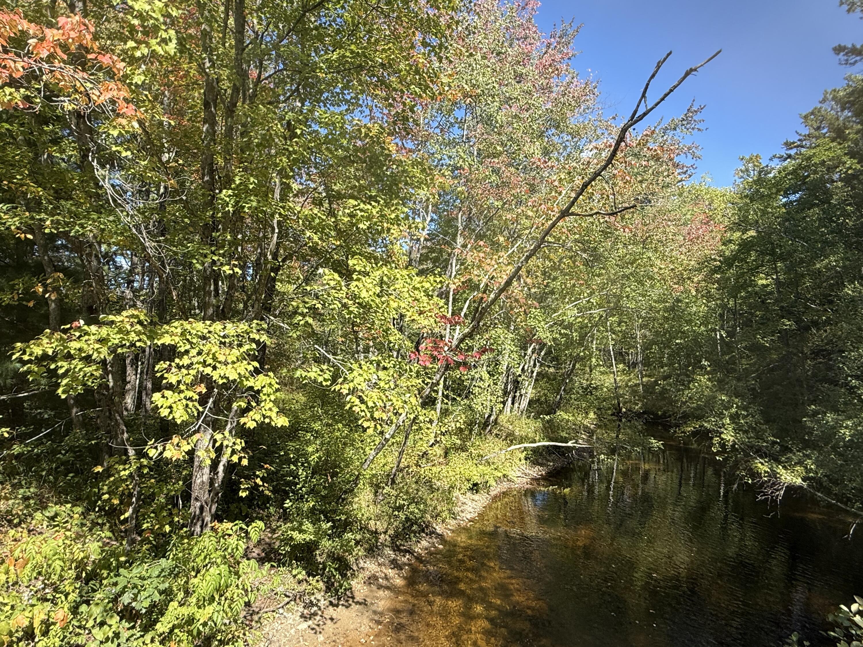 Tbd Portland Lane Brownfield, ME 04010 - Photo 7 of 8 IMG_9742