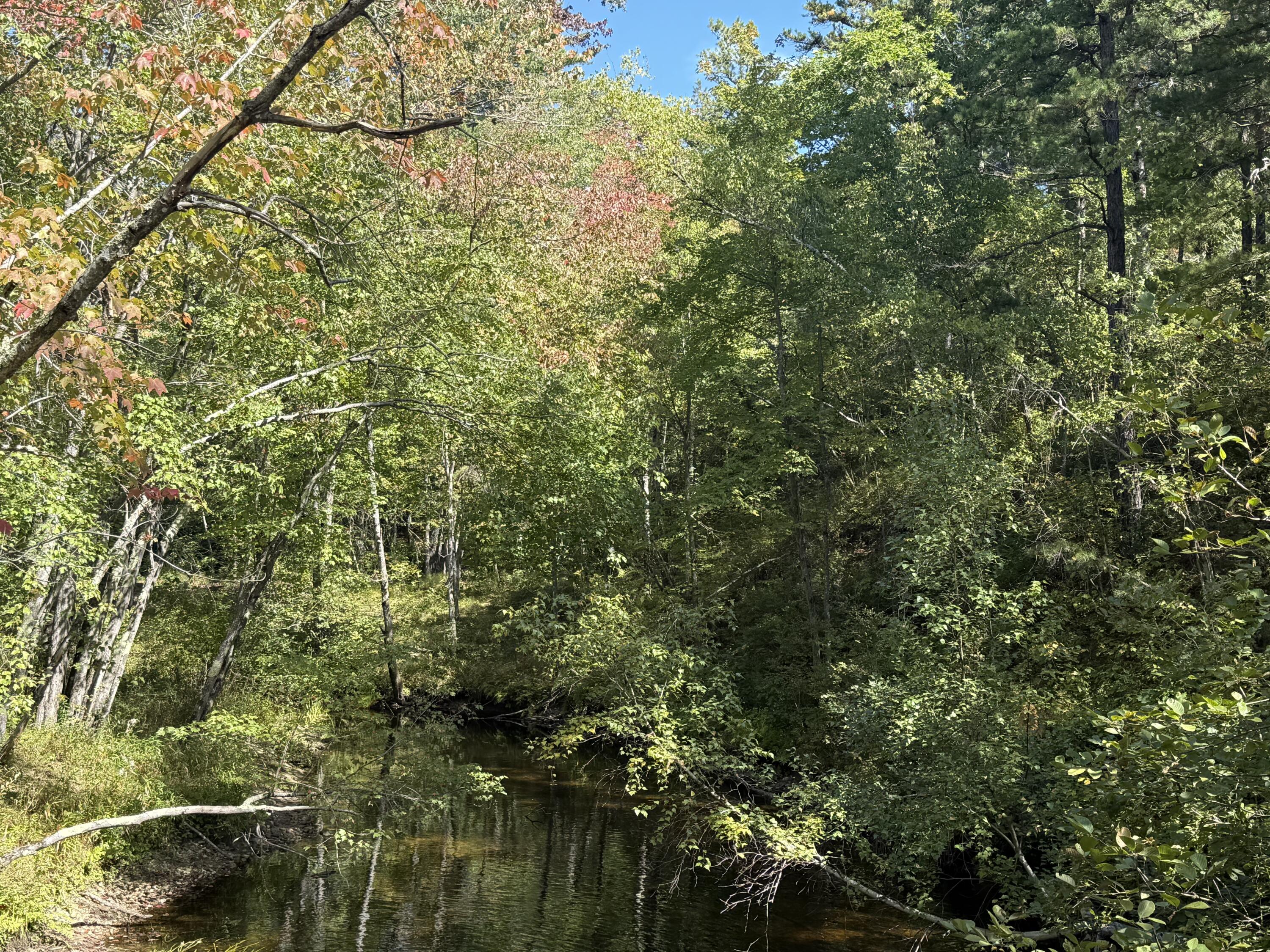 Tbd Portland Lane Brownfield, ME 04010 - Photo 8 of 8 IMG_9743