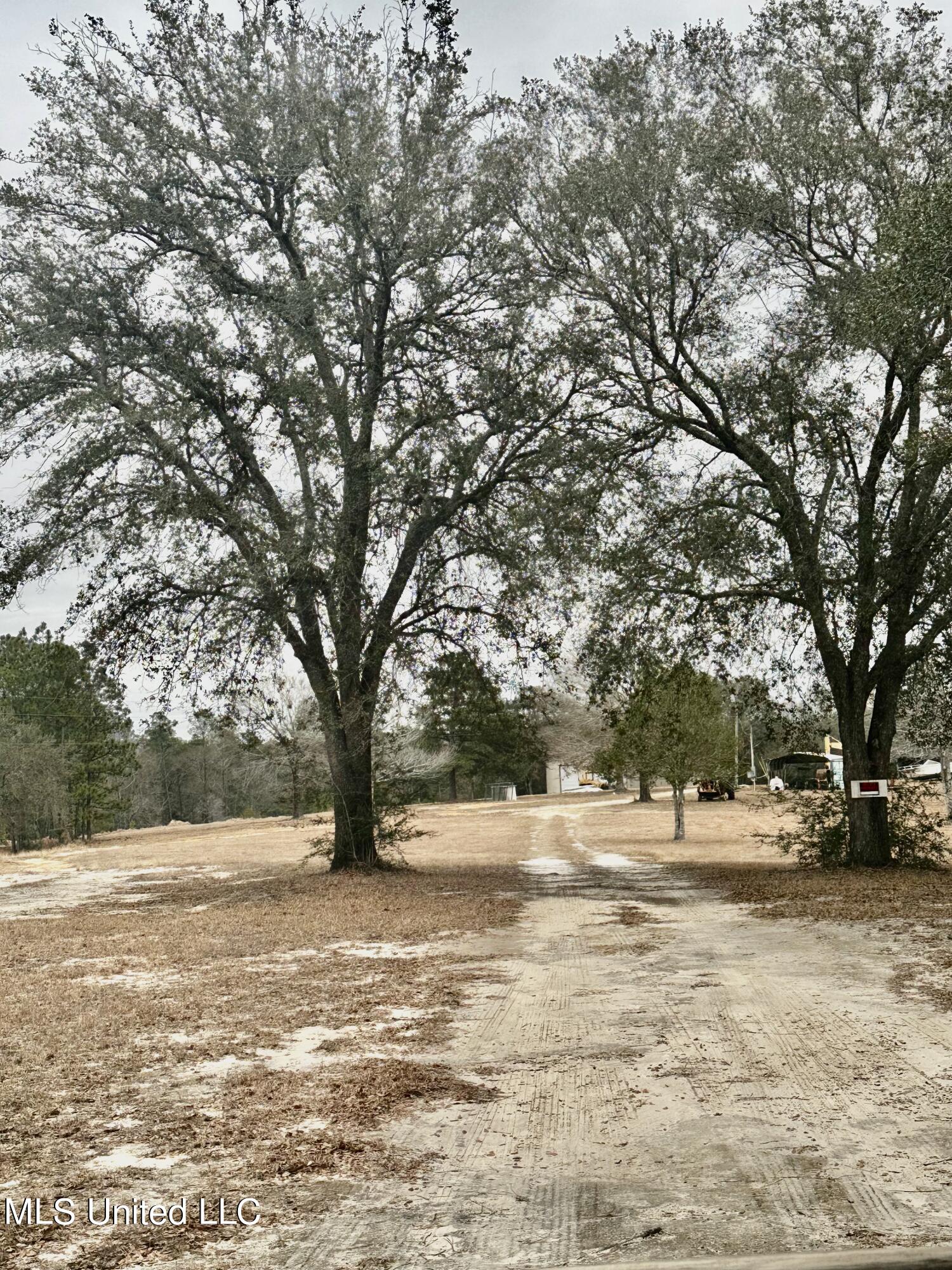 Coleman Homestead Road Moss Point, MS 39562 - Photo 2 of 8 IMG_3890
