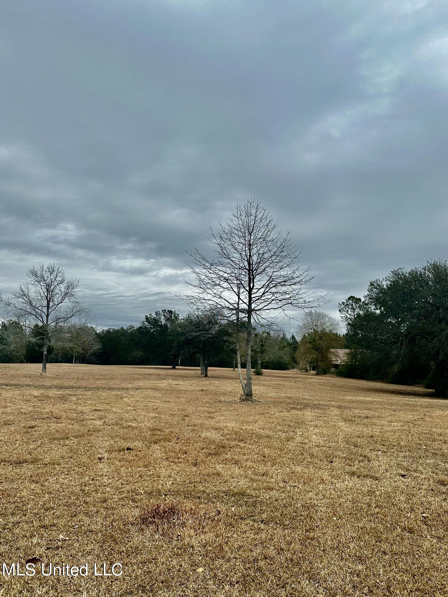Coleman Homestead Road Moss Point, MS 39562 - Photo 3 of 8 IMG_3891