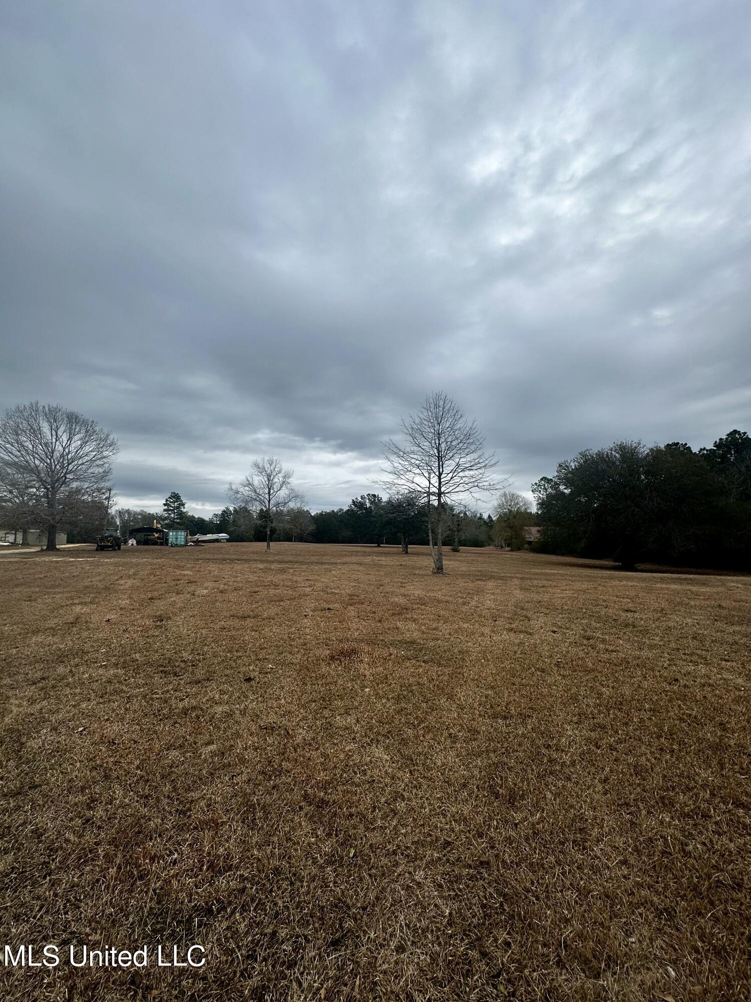 Coleman Homestead Road Moss Point, MS 39562 - Photo 4 of 8 IMG_3893