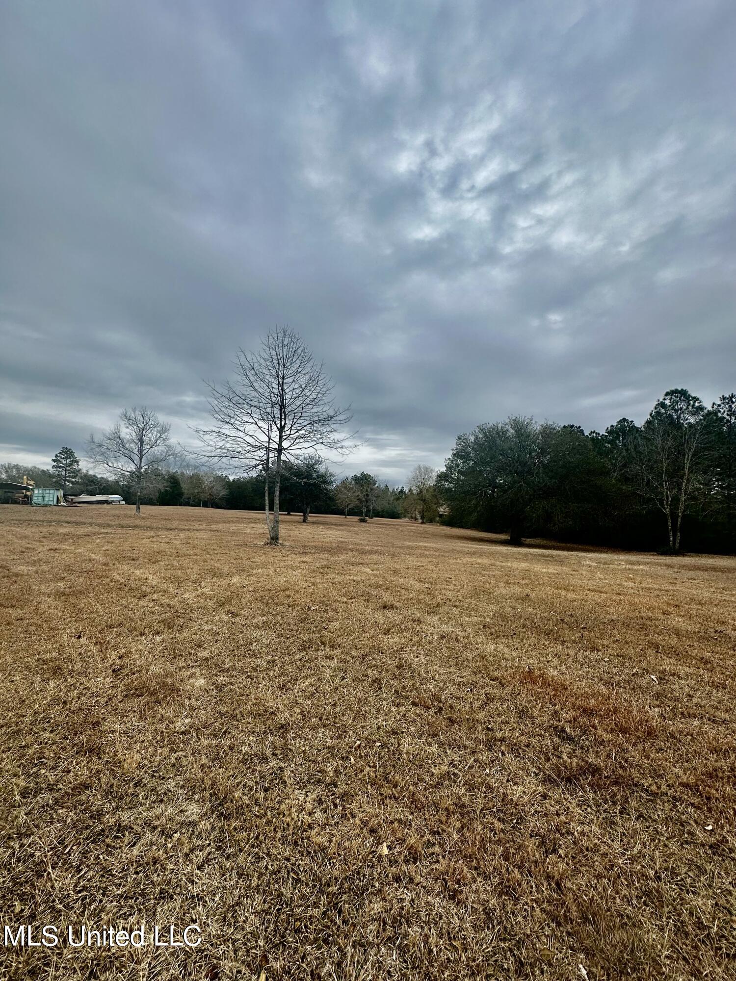 Coleman Homestead Road Moss Point, MS 39562 - Photo 5 of 8 IMG_3894