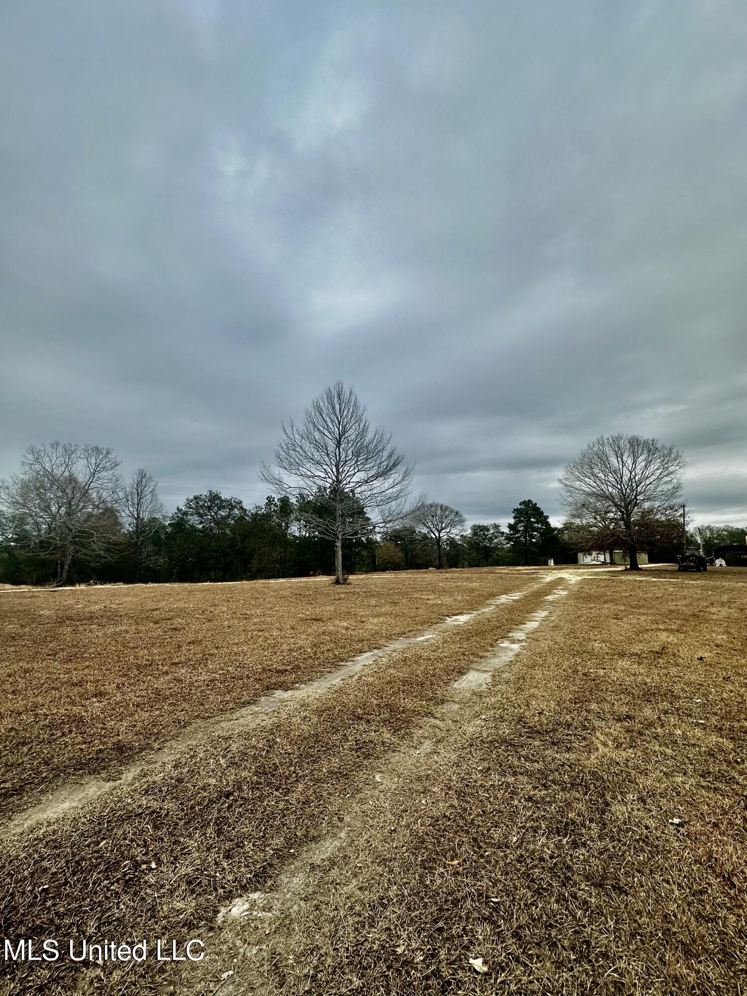 Coleman Homestead Road Moss Point, MS 39562 - Photo 6 of 8 IMG_3895