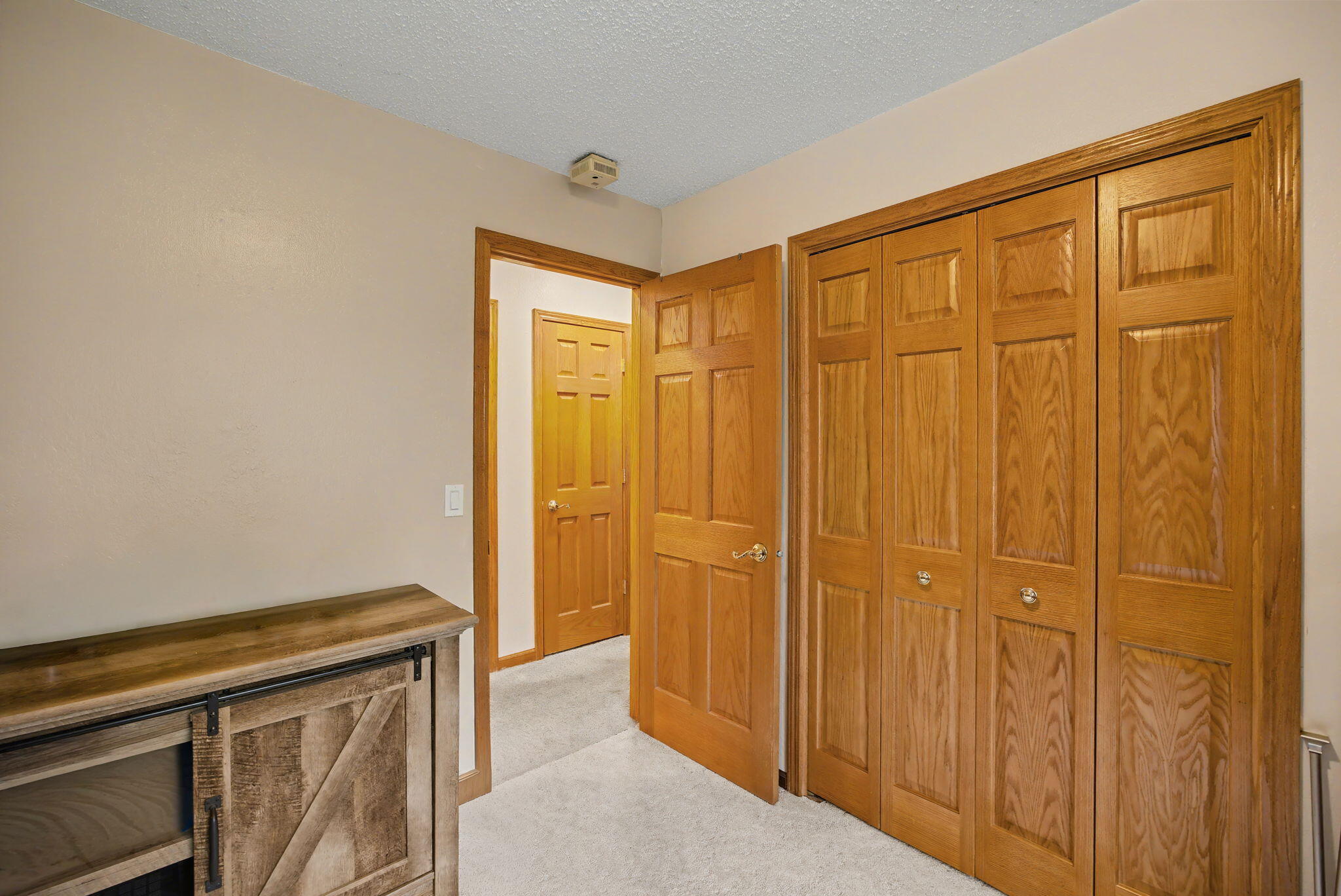 6950 Lacey Lake Road Bellevue, MI 49021 - Photo 21 of 53 22-web-or-mls-CQ1A7551