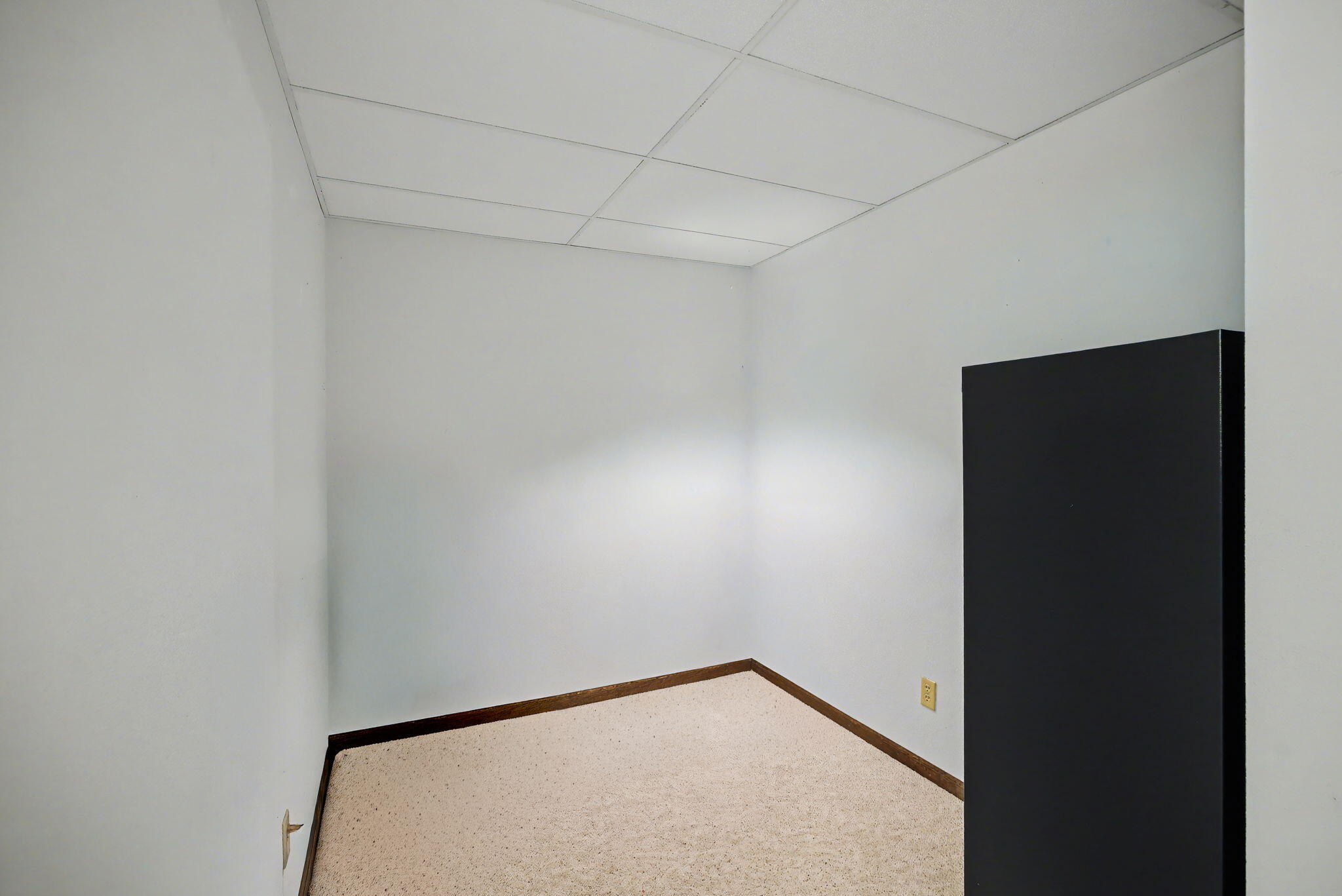 6950 Lacey Lake Road Bellevue, MI 49021 - Photo 30 of 53 32-web-or-mls-CQ1A7681