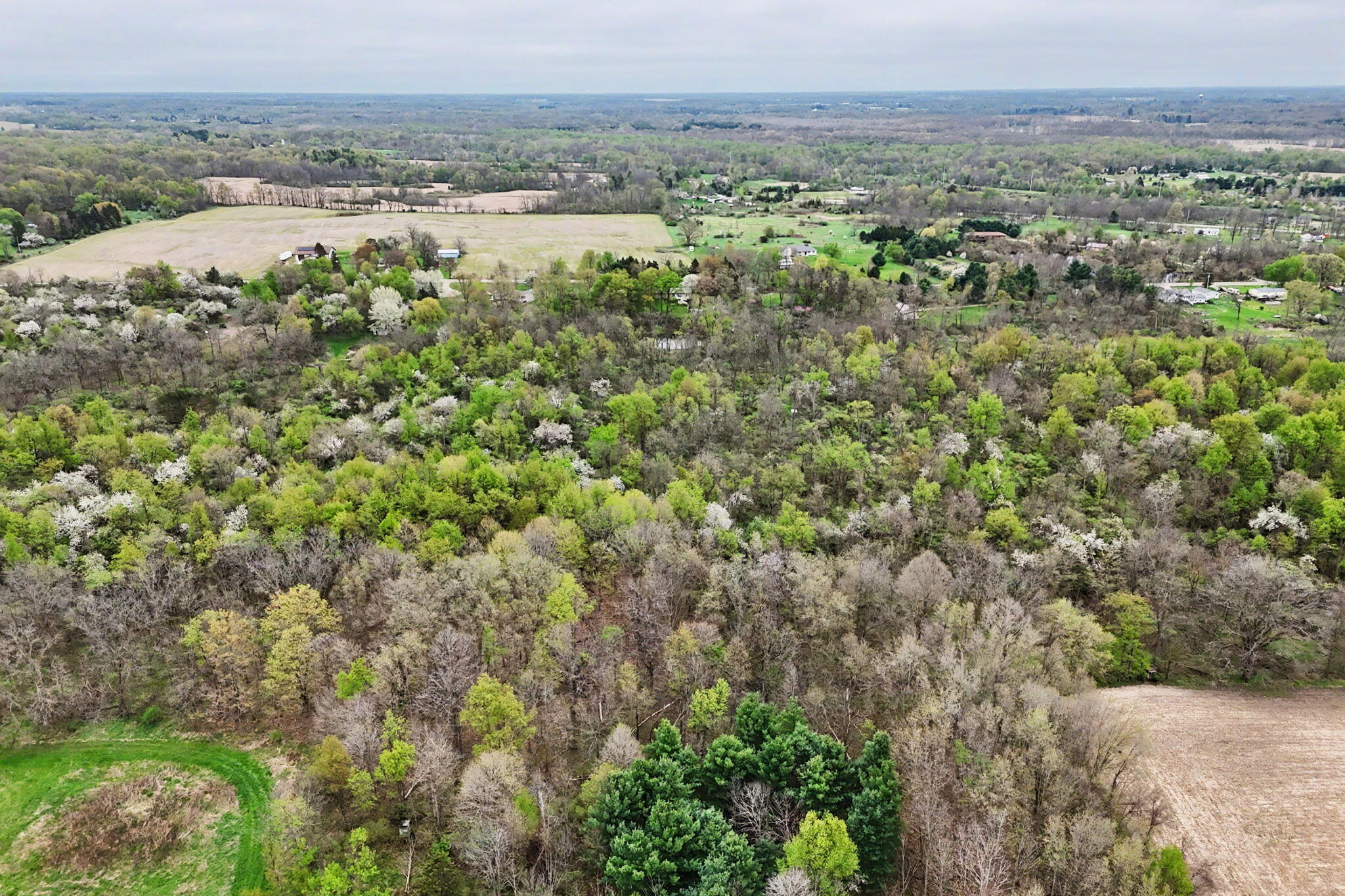 6950 Lacey Lake Road Bellevue, MI 49021 - Photo 53 of 53 58-web-or-mls-drone5