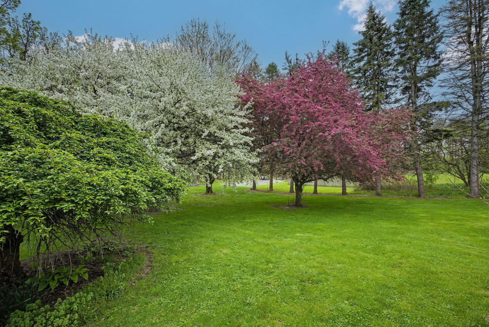 6950 Lacey Lake Road Bellevue, MI 49021 - Photo 6 of 53 6-web-or-mls-CQ1A7696