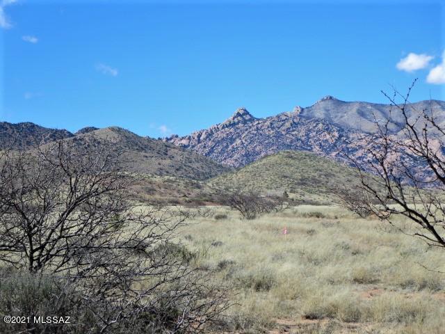 2.18-ac North Desert Road, Unit 1&2 Pearce, AZ 85625 - Photo 4 of 17