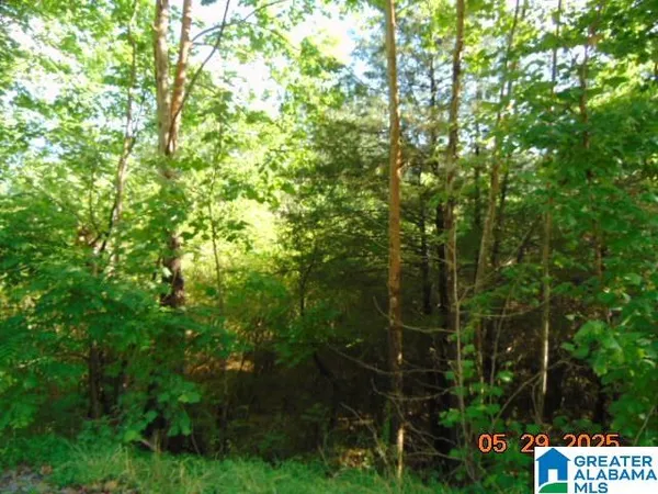 $10,000 | 0 County Road 43, Unit 1, Clanton, AL 35045