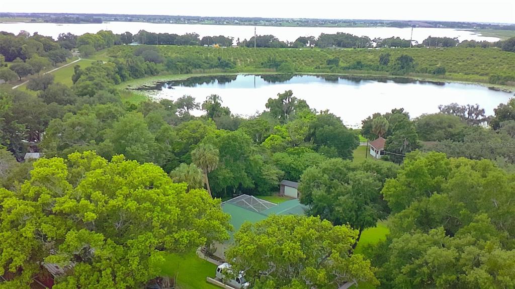 530 North Ridge Avenue Lake Alfred, FL 33850 - Photo 42 of 48