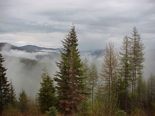 407 Spirit Inn Mead, WA 99021 - Photo 7 of 7 Gallery Image 7