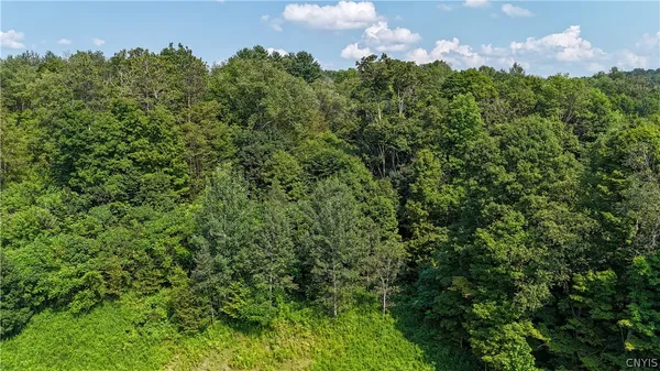 $69,900 | Clinton Avenue, Groton, NY 13073