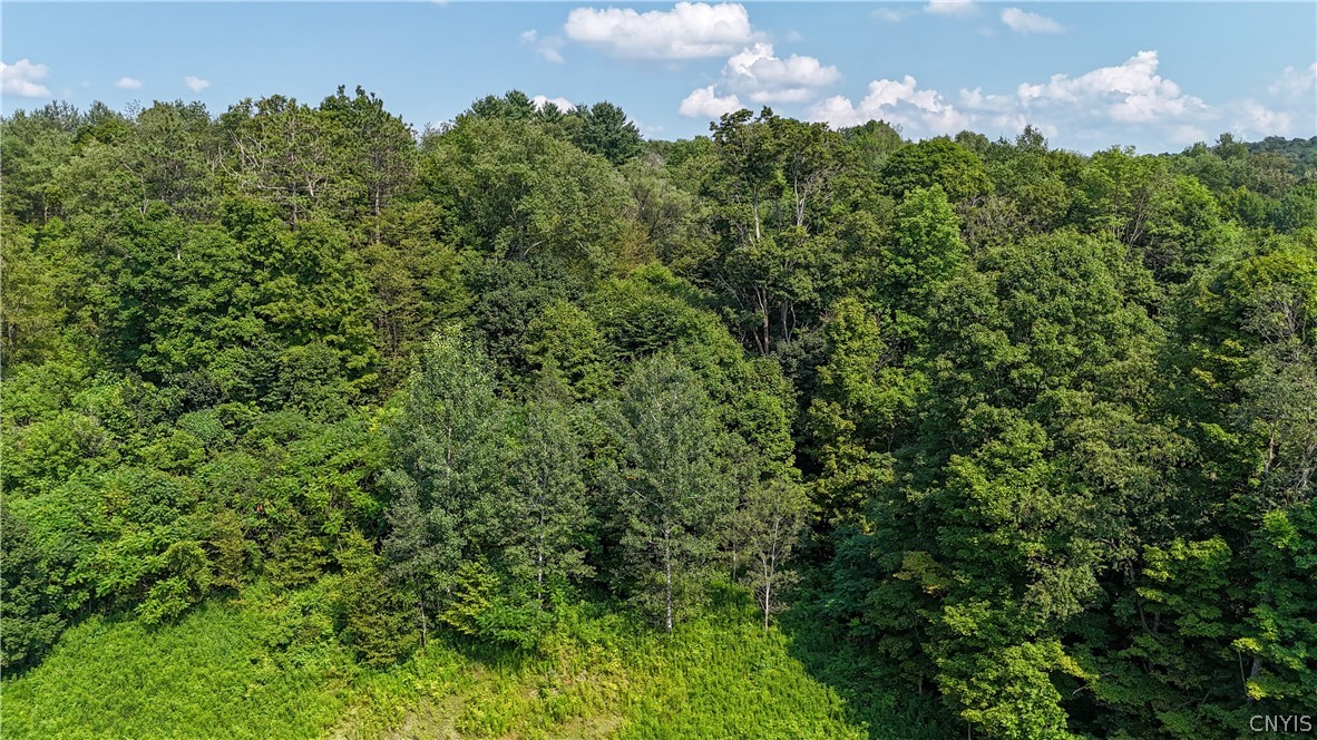 Clinton Avenue Groton, NY 13073 - Photo 14 of 15