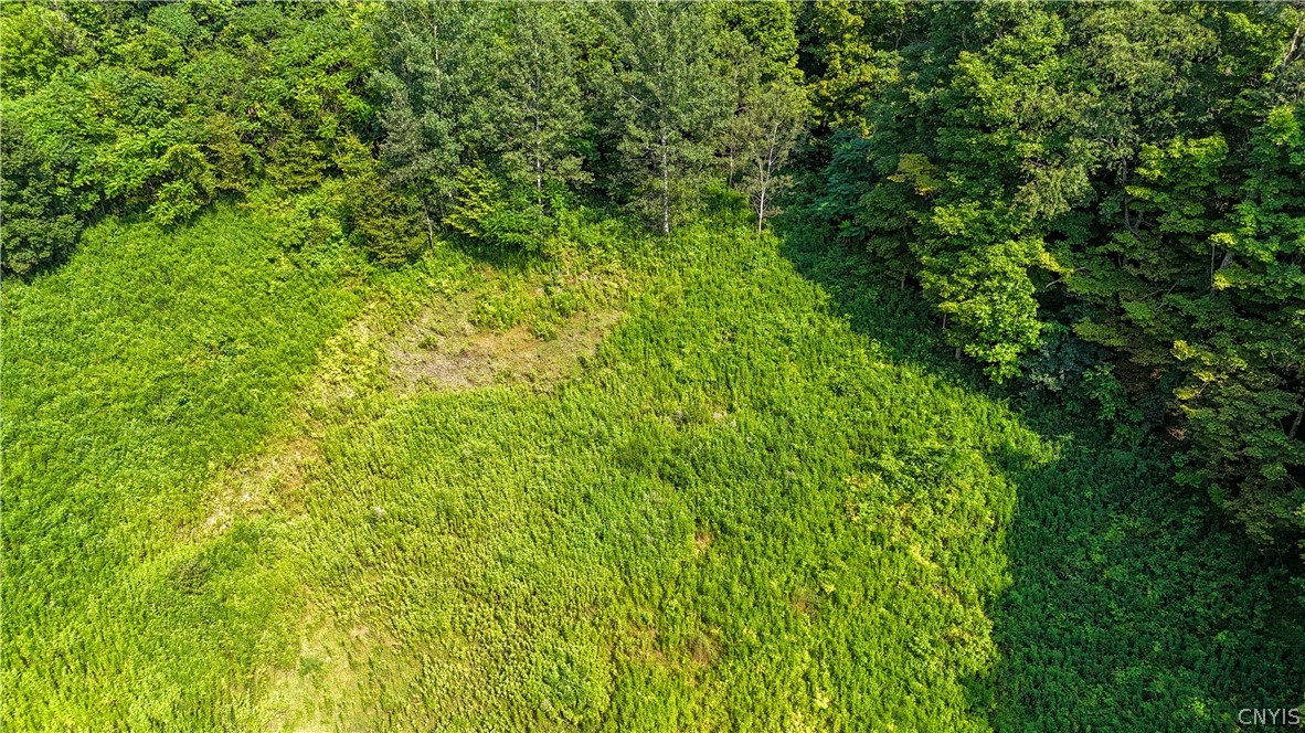Clinton Avenue Groton, NY 13073 - Photo 7 of 15