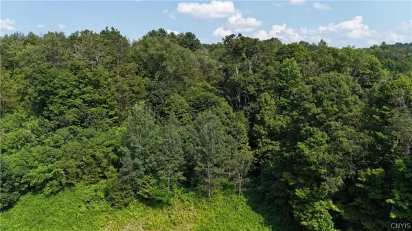 $69,900 | Clinton Avenue, Groton, NY 13073