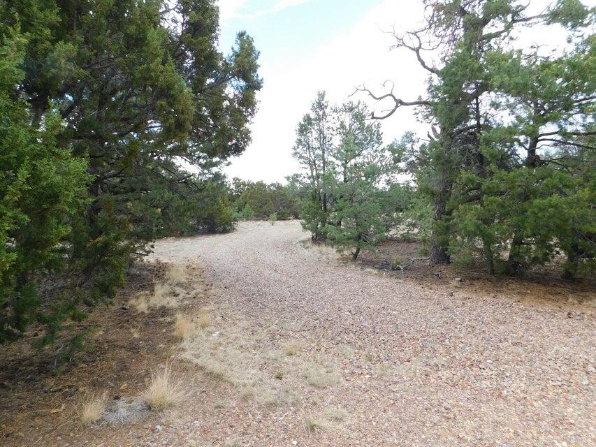 246 Spring Canyon Road Quemado, NM 87829 - Photo 15 of 21 Gallery Image 15