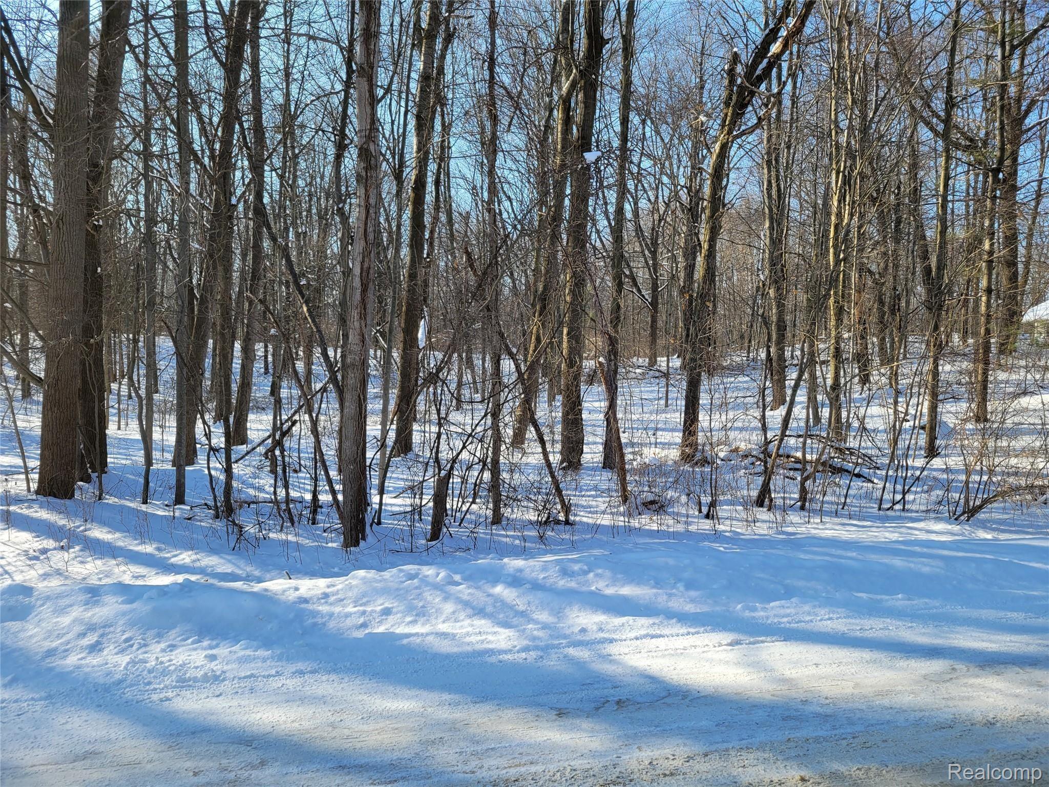 1 Miller Road Metamora, MI 48455 - Photo 5 of 14 20220208_150821.jpg