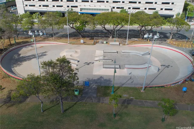 a view of a wooden door with a tree in front of it